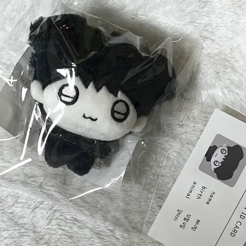 보이넥스트도어 재현 명재현 인형 혀니땅