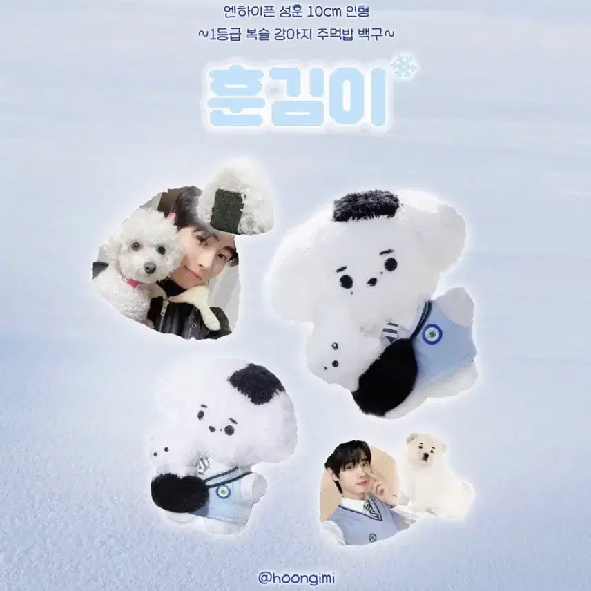 엔하이픈 성훈 10cm 훈김이 인형 판곡고 교복