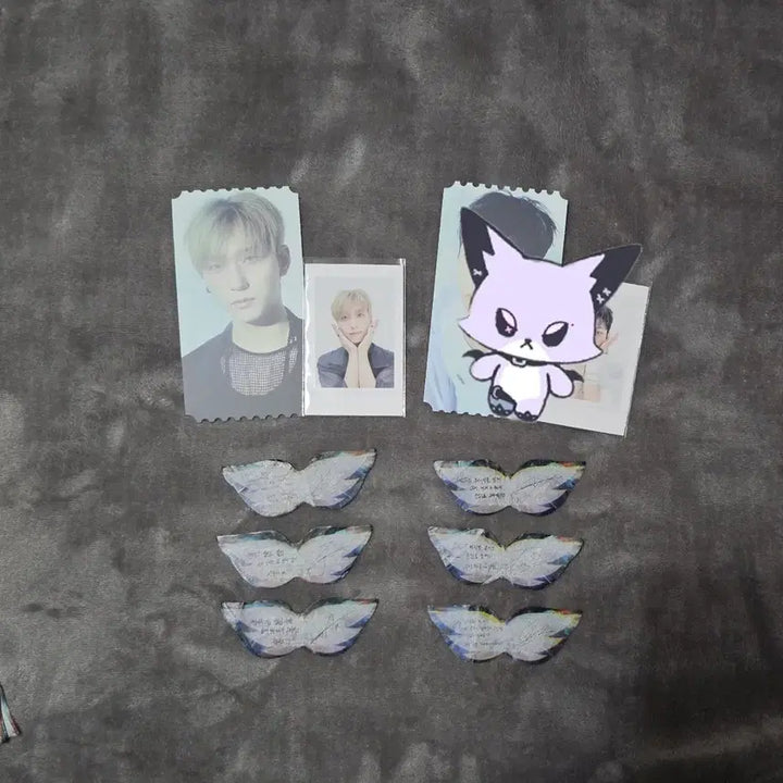 엑디즈 뷰마콘 폴라+포토티켓(건일) 분철