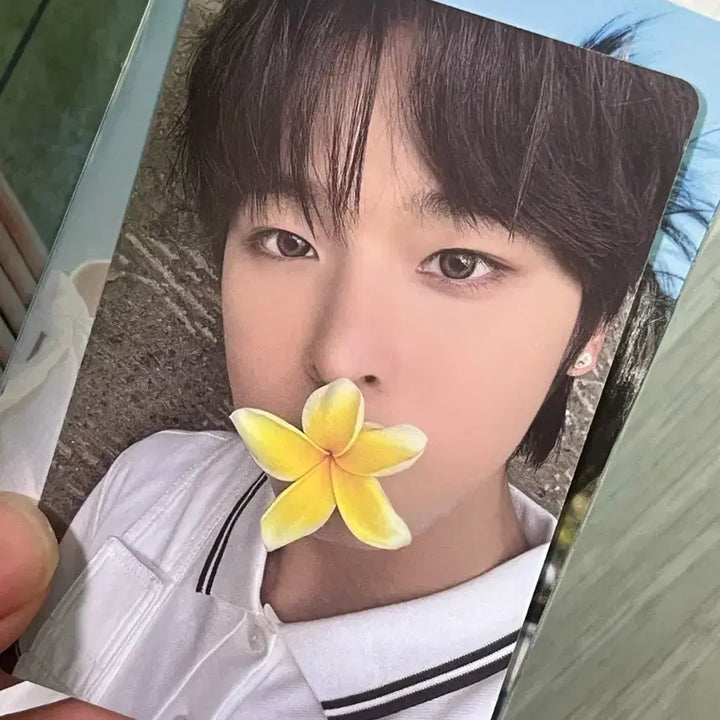 엔시티 위시 surf 앨범 풀구성