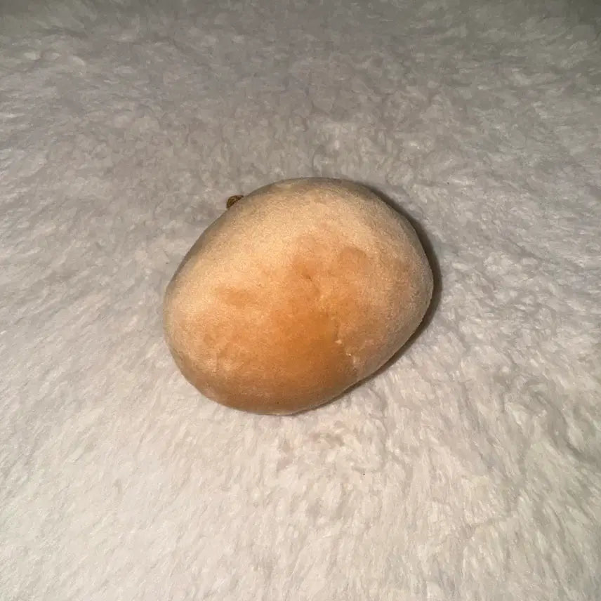 엔하이픈 제이 박종성 인형 쫑테이토 양도