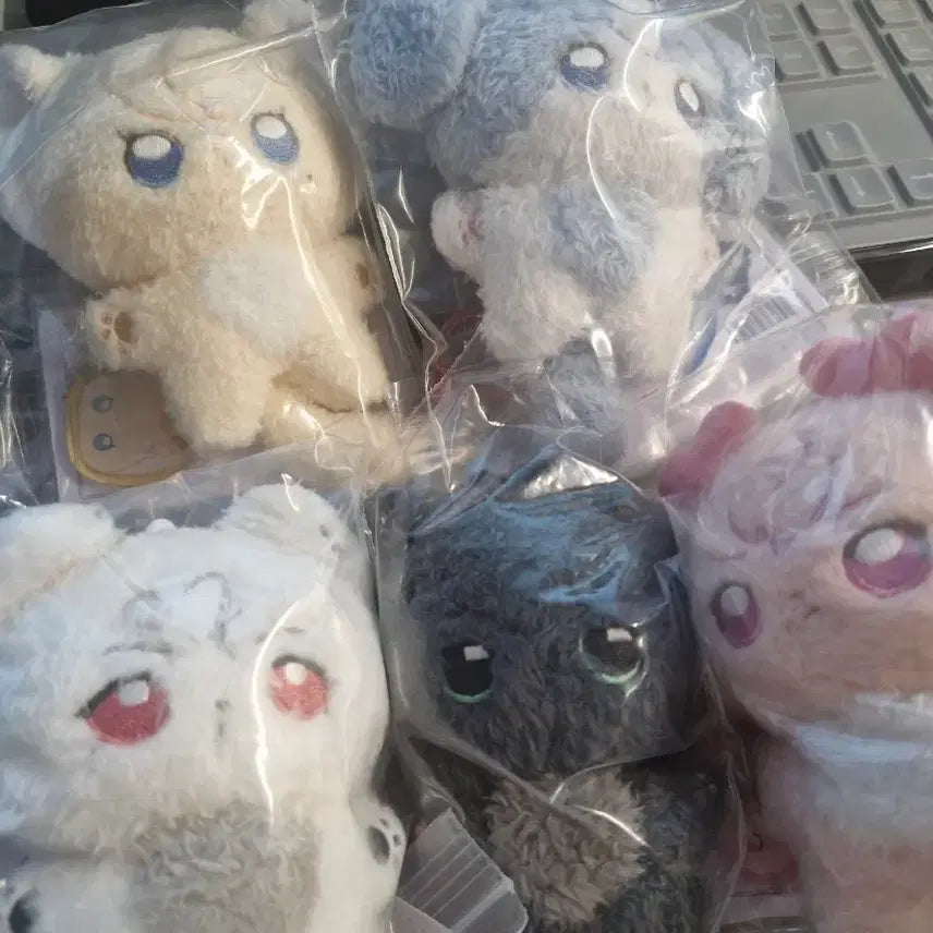 [새상품] 플러피플브 10cm 플레이브 비공굿 인형 plave 양도