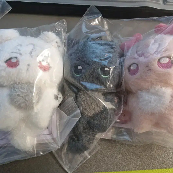 [새상품] 플러피플브 10cm 플레이브 비공굿 인형 plave 양도