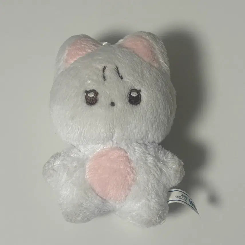 더보이즈 뉴 인형 차니냥 양도