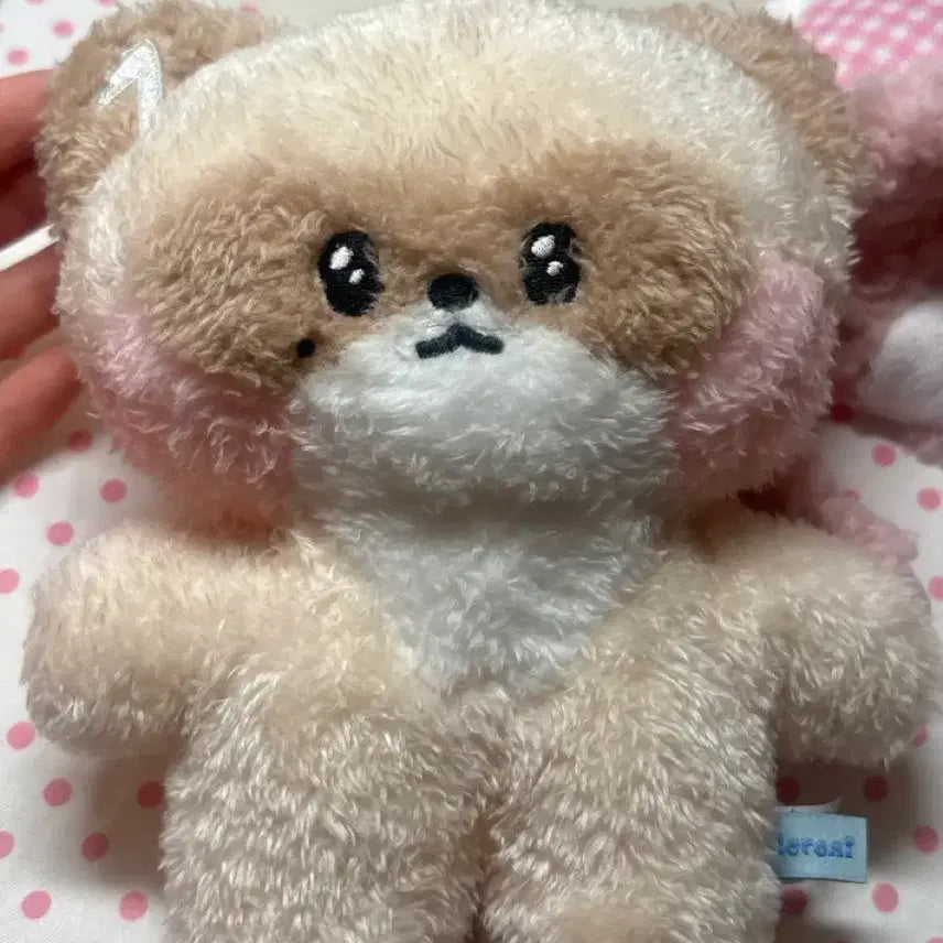 하니니 코스튬플러시