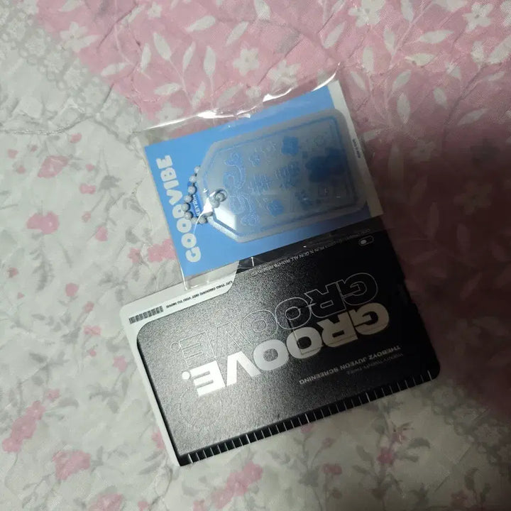 더보이즈 주연 홈마 런앤건 영상회 영상 USB + 키링