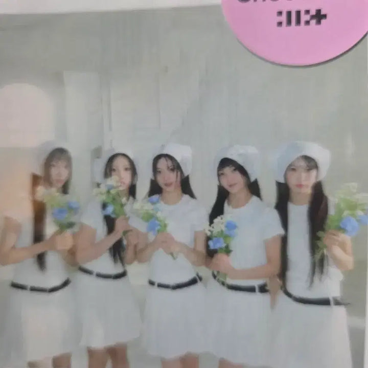 아일릿 미뉴트 빠삐용 콜라보 폴라로이드