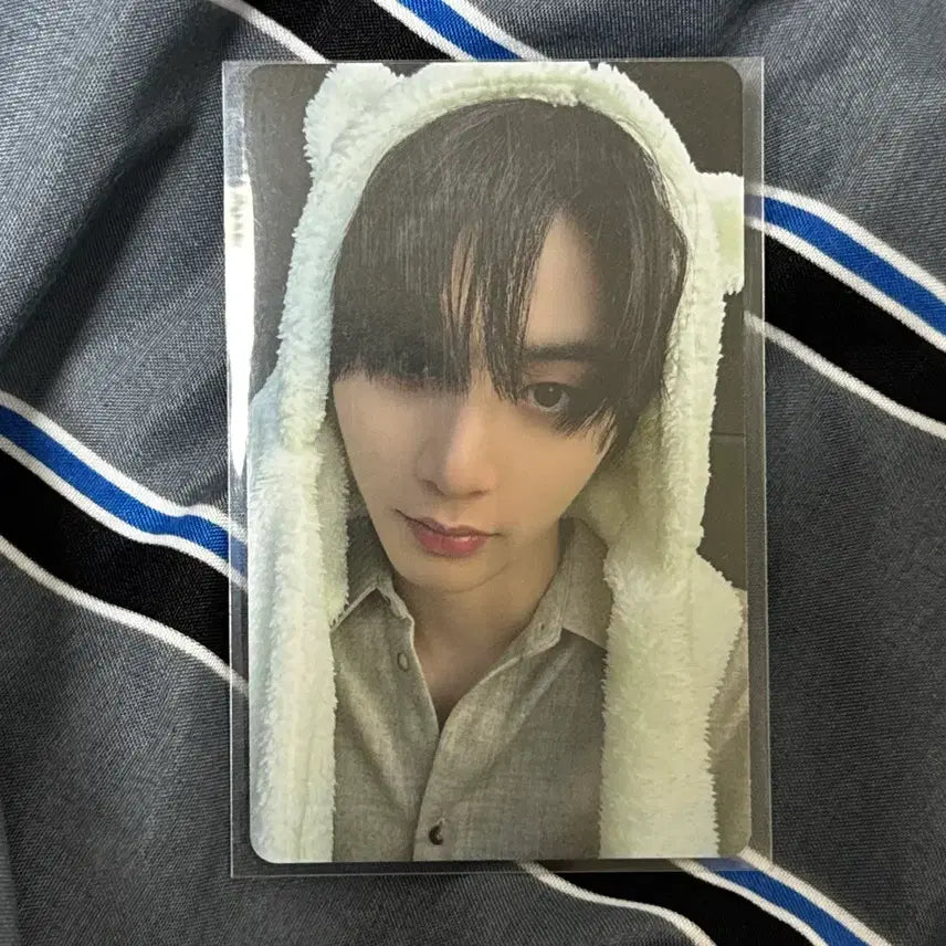 보이넥스트도어 디액션 카카오톡선물하기 태산포카양도