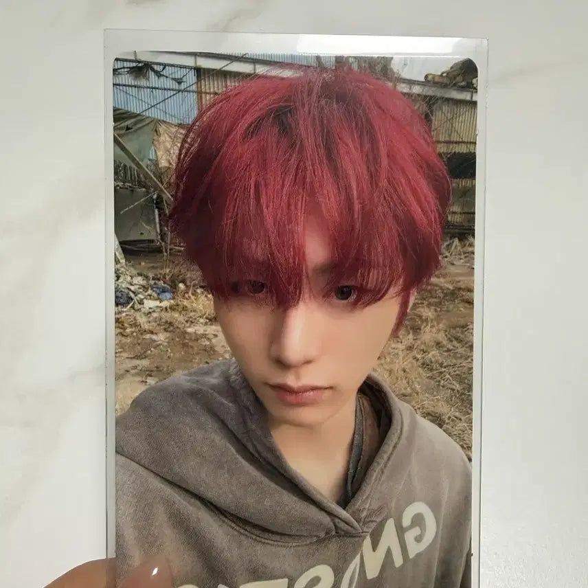 태산 포카 보이넥스트도어 노장르 포카