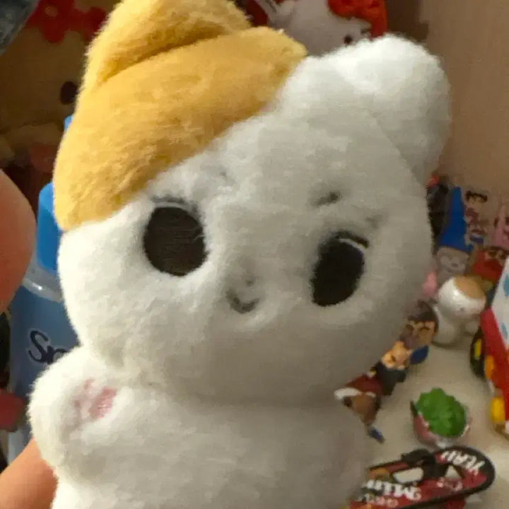 양정원 인형 쩡냥