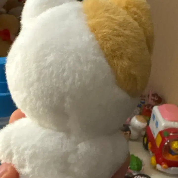 양정원 인형 쩡냥