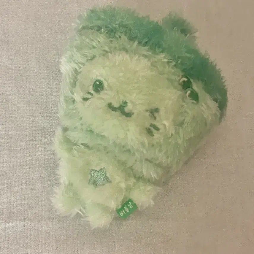 버블냥 컬러 컬러돌 유우시 팝업 md 엠디 그린 초록 연두 위시돌 미니돌