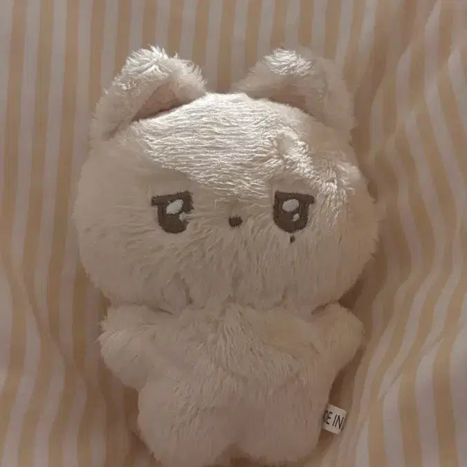 위니멀즈 유우시 인형 위시 엔시티