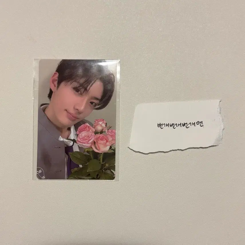 탈덕 급처) 보이즈플래닛2 알디원 알파드라이브원 정상현 포카 양도