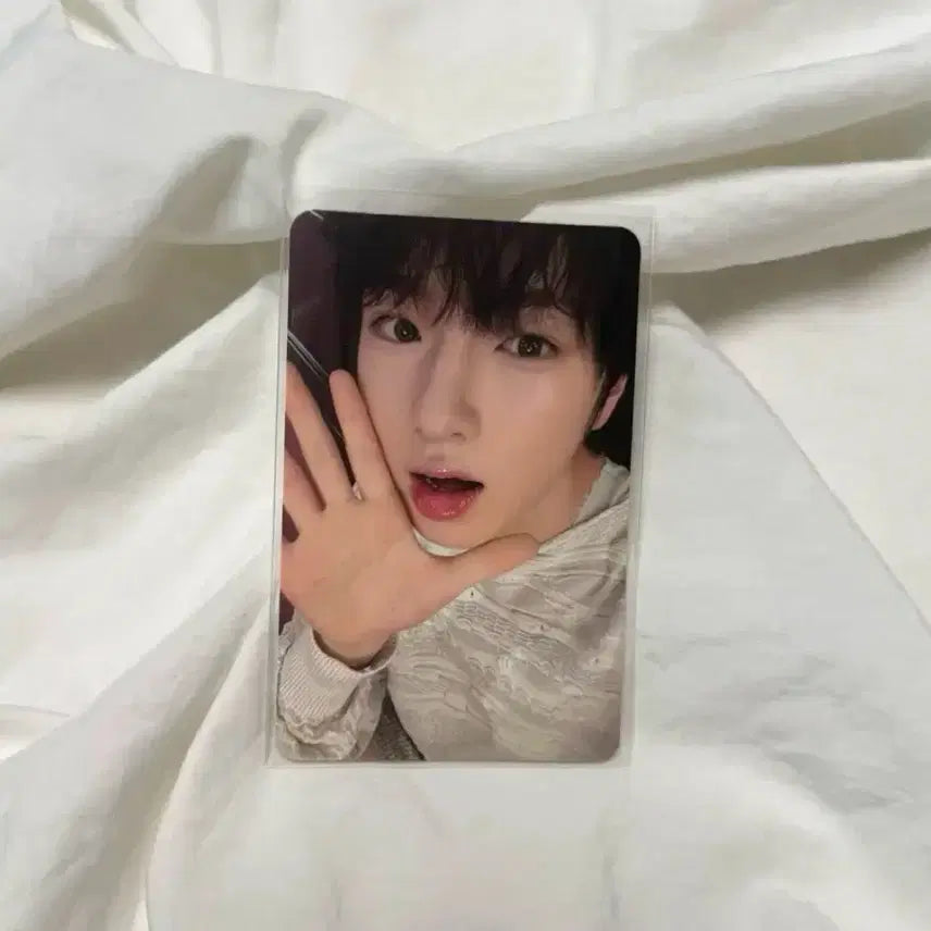 사쿠야 스테디 트레카 포카