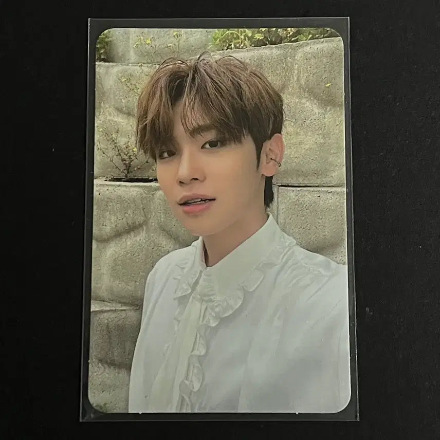 제로베이스원 제베원 앨포 포카 김태래