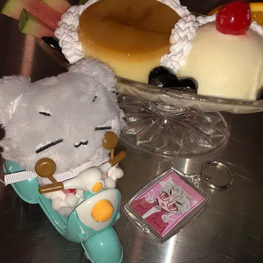 플레이브 은호 인형 플룽이 으노룽 미개봉 원가 양도