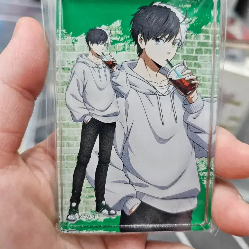 윈브레 사쿠라 코롯토