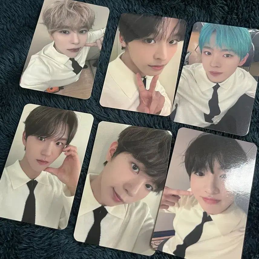 엔시티 위시 블루드림 미디어 포카 일괄