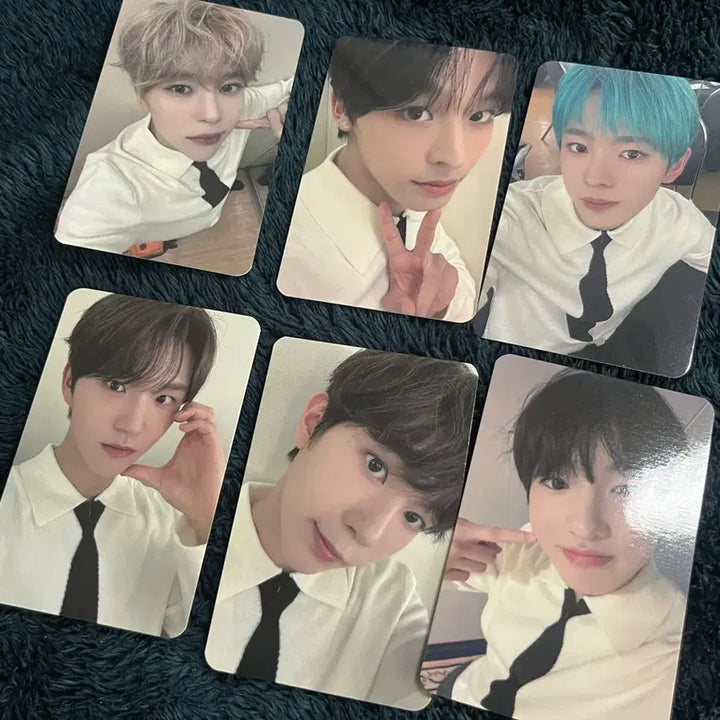 엔시티 위시 블루드림 미디어 포카 일괄