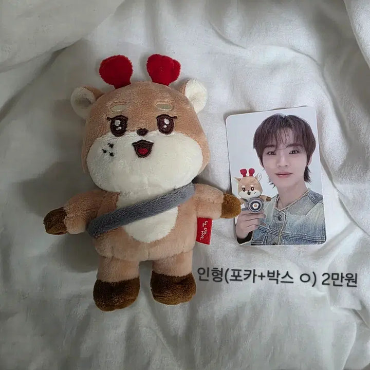 온앤오프 온꼬미즈 노얌이 인형 효진