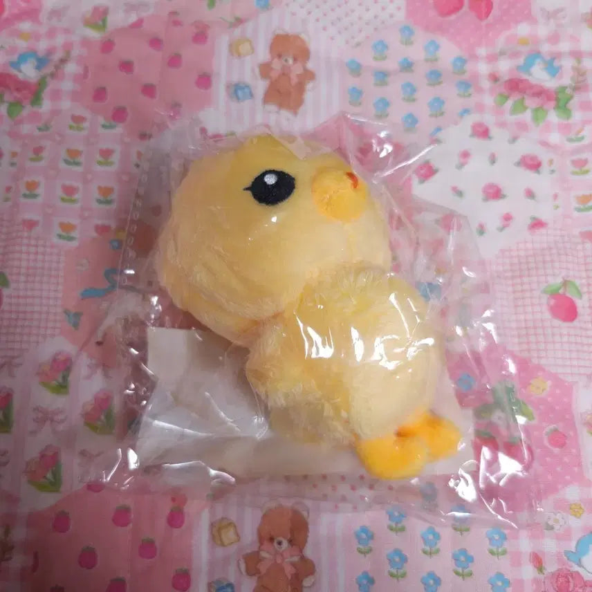 NCT 127 정우 인형 김댕궁 양도