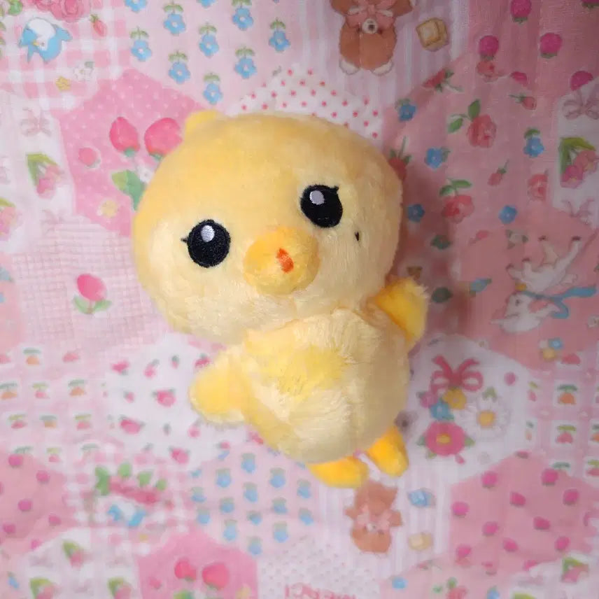 NCT 127 정우 인형 김댕궁 양도