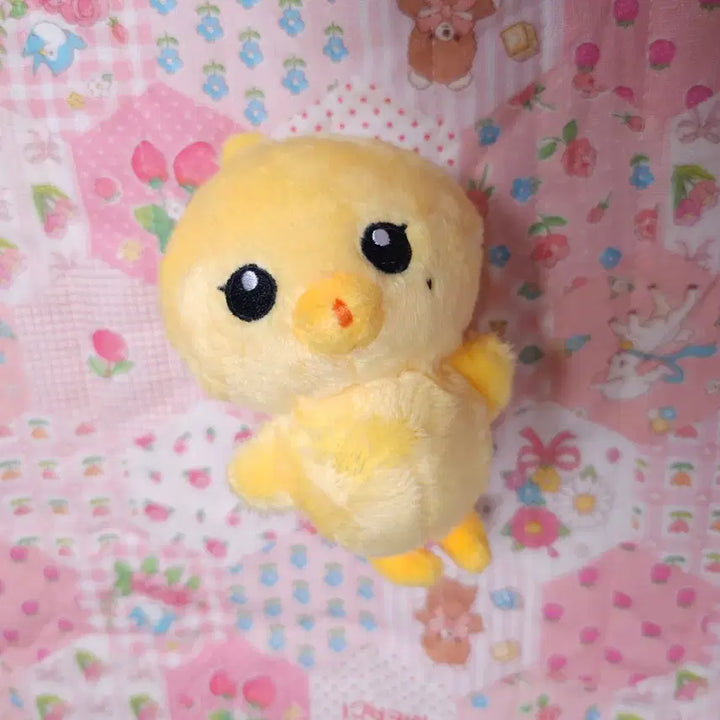 NCT 127 정우 인형 김댕궁 양도