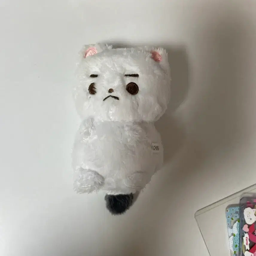 제베원 장하오 인형 짱부리