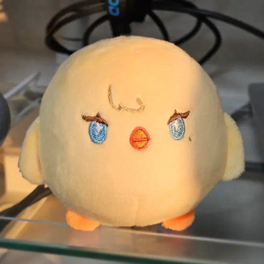 플레이브 노아 인형 삐야 미개봉 양도