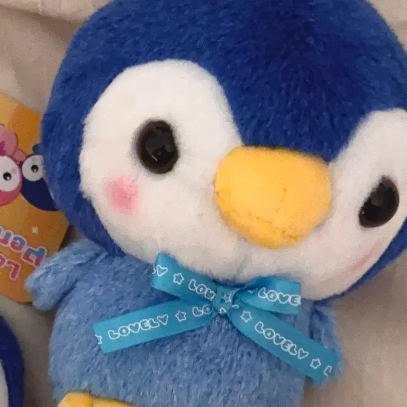 유강민 송도 인형