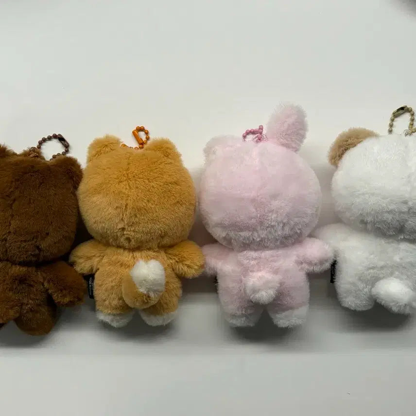 데이식스 쁘띠멀즈 방케필돈 일괄