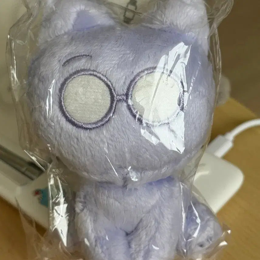 (미개봉) 원우 인형 보래옭