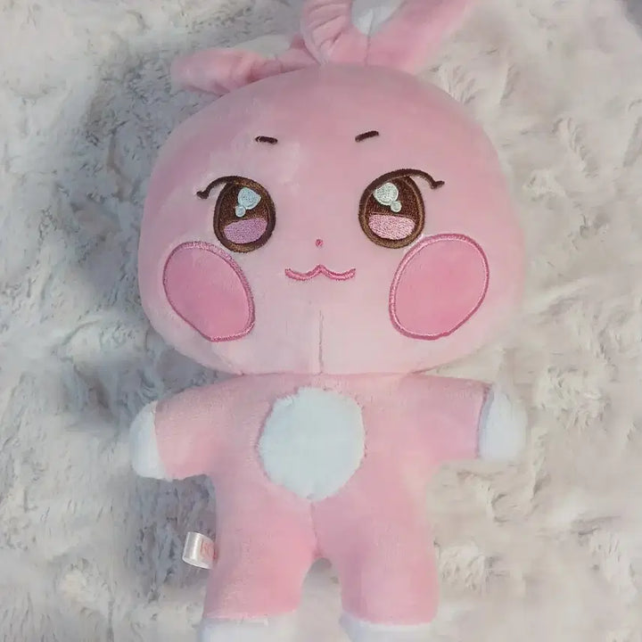 에이티즈 애니티즈 떵별이 봉제인형 양도