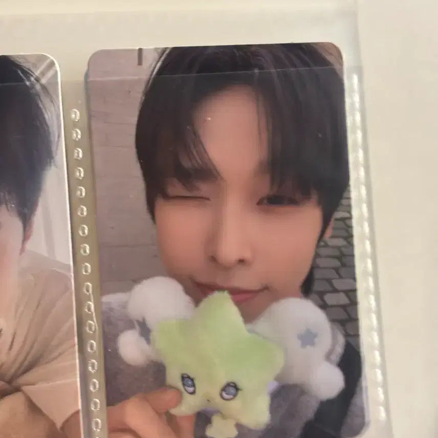 엔시티위시 리쿠 위시 포카