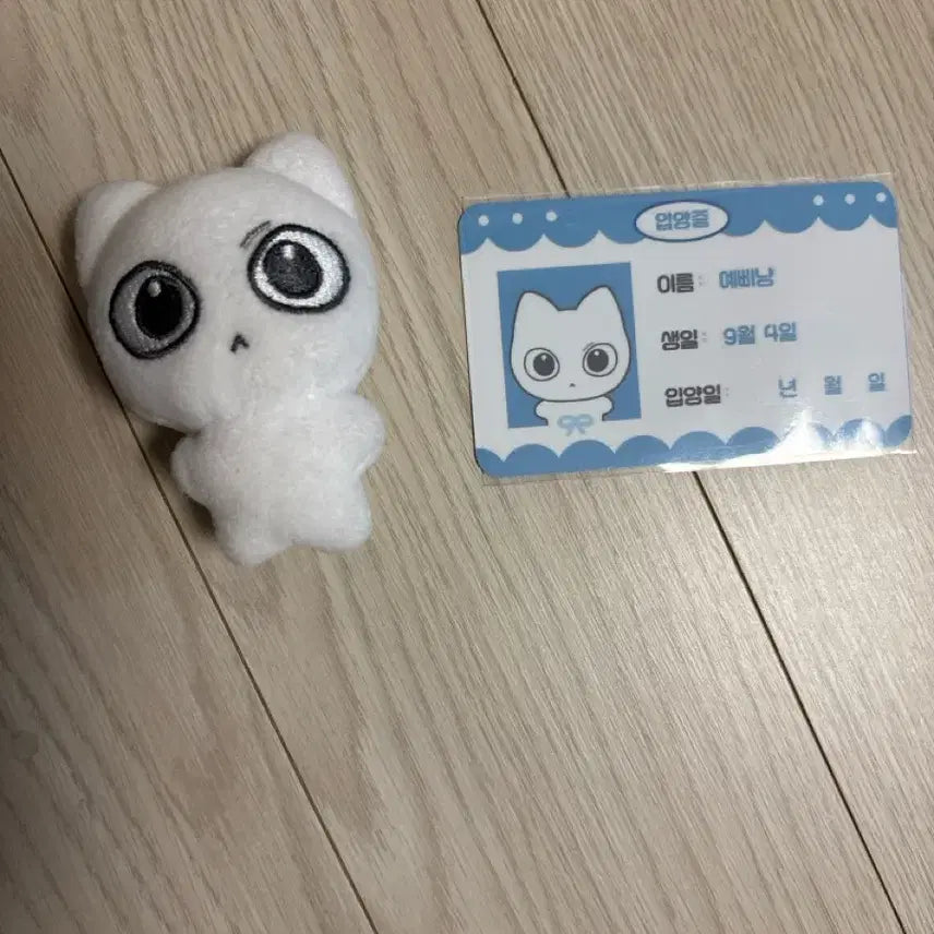 보이넥스트도어 성호 예삐냥