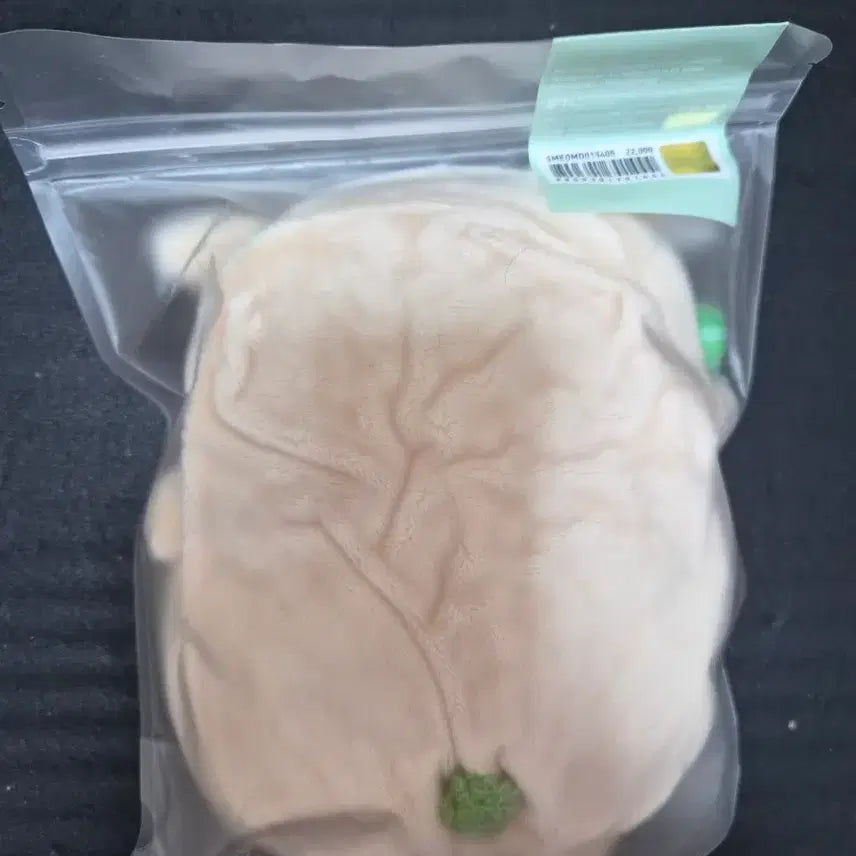 엔시티 위시 재희 댕트리버 응원봉 케이프