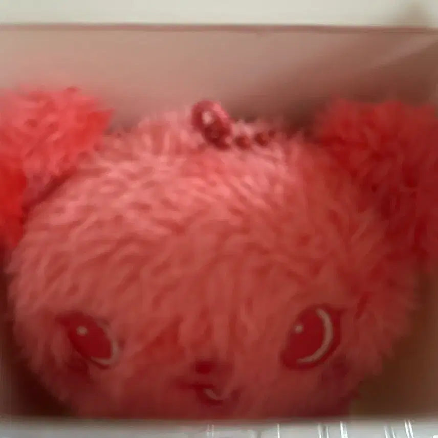 엔시티 위시 사쿠야 컬러돌 팡이