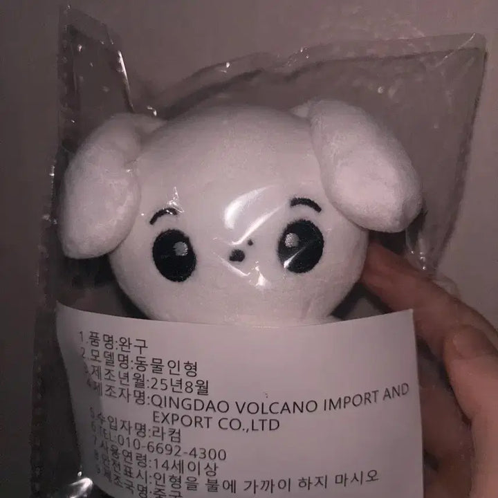 Sell) 정상현 비공굿 인형 땅멍이