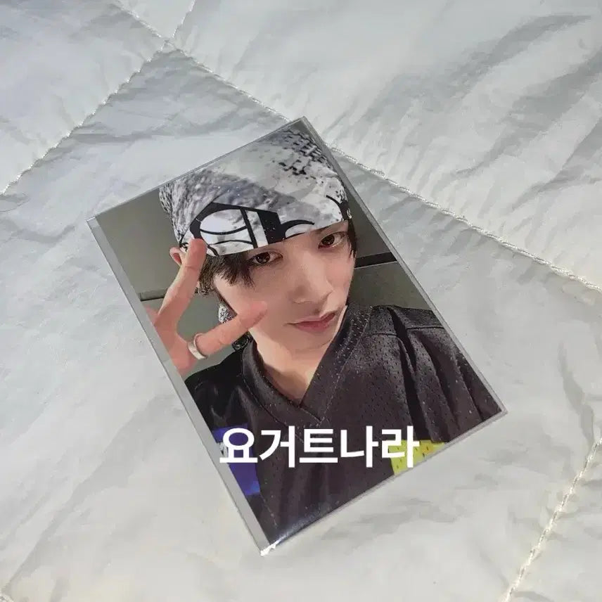 보이넥스트도어 쁘넥도 5만원 특전포카 미개봉 태산