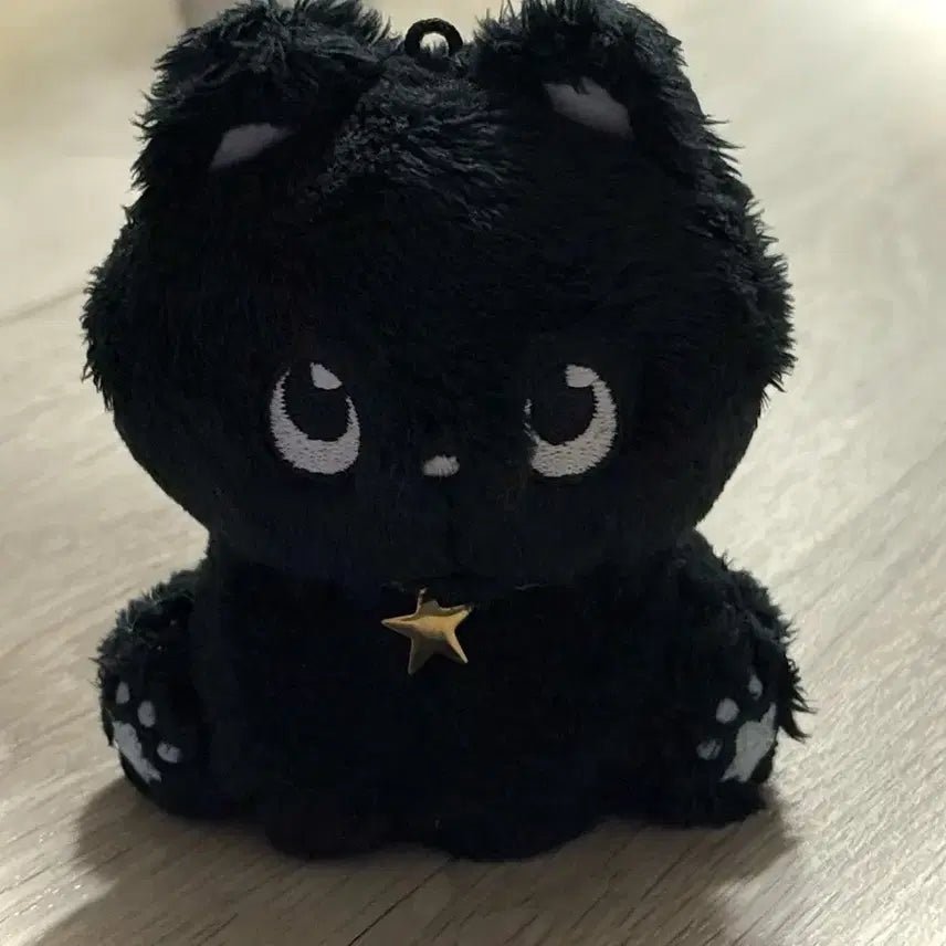 라이즈 원빈 인형 냥삐