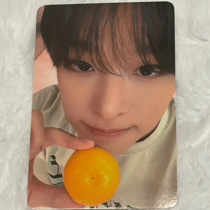 엔시티위시 nct wish 컬러 에버라인 미공포 럭드 2차 리쿠 포카