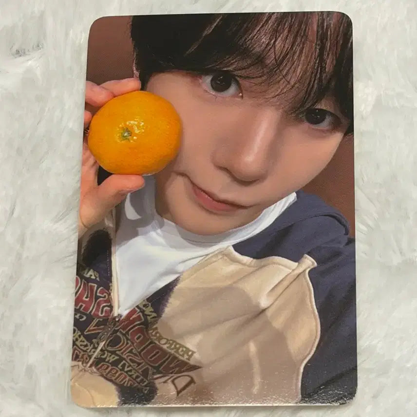 엔시티위시 nct wish 컬러 에버라인 미공포 럭드 2차 료 포카