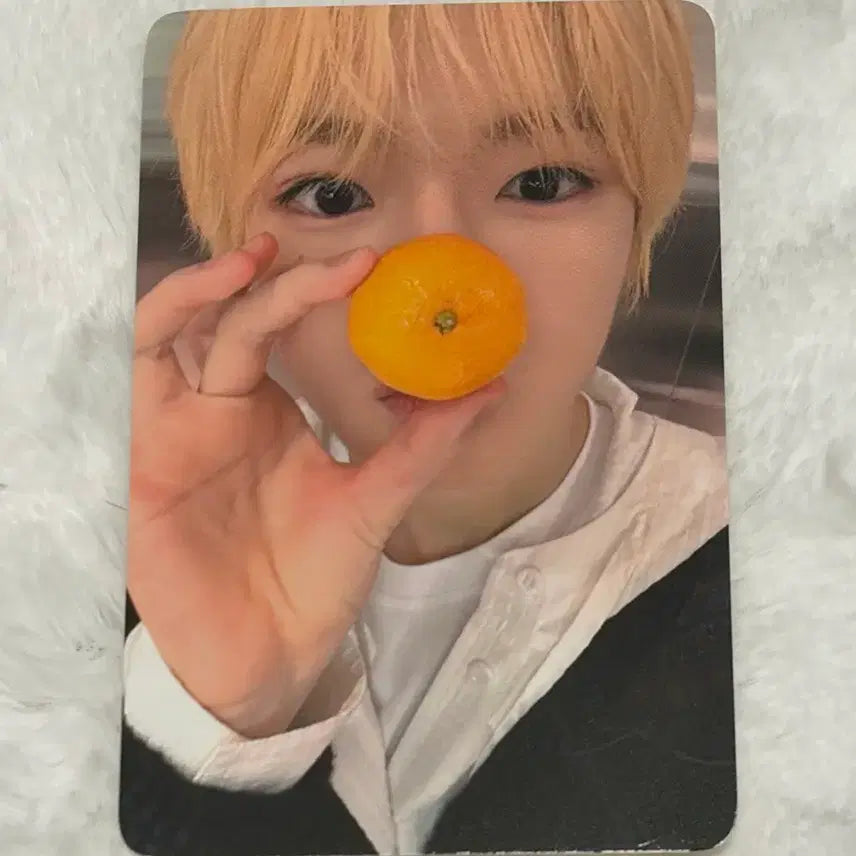 엔시티위시 nct wish 컬러 에버라인 미공포 럭드 2차 사쿠야 포카