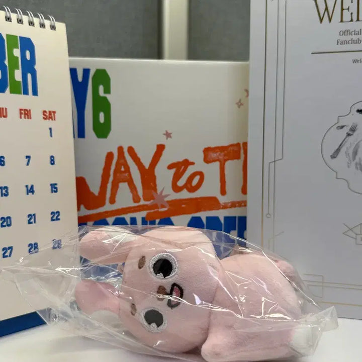 데이식스 데니멀즈 손난로인형 필