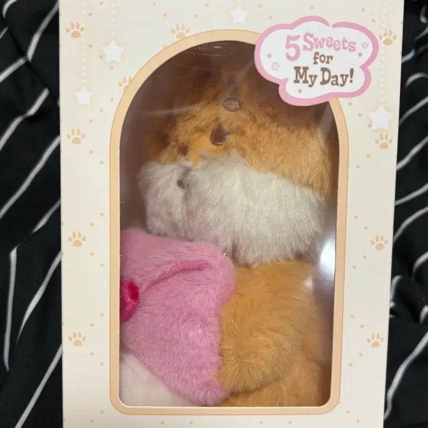 데이식스 쁘띠멀즈 플러시 보이스 케(미개봉) 판매