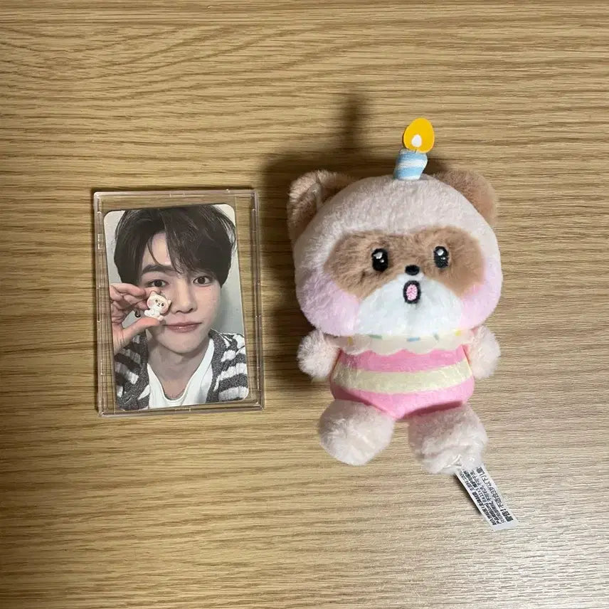 제로니 하니니 홈파티 인형+5만원 포카 일괄