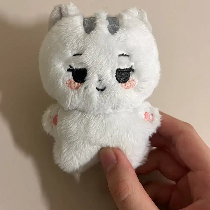 아이브 인형 레비,옥수니(입양증)팝니다.