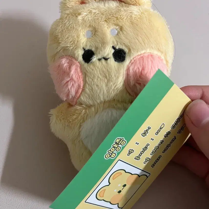 아이브 인형 레비,옥수니(입양증)팝니다.