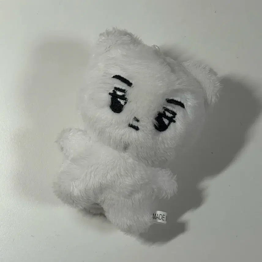 세븐틴 버논 인형 버곰이 양도 굿즈 처분